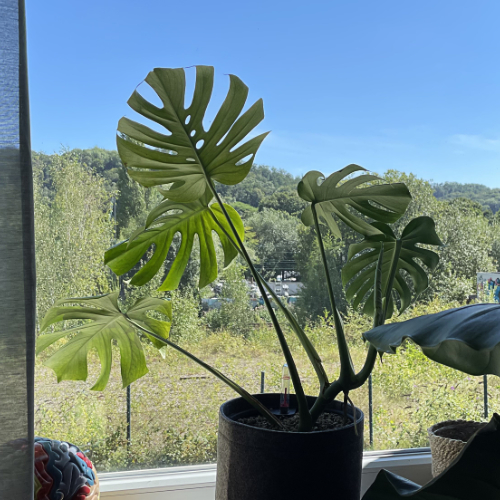 Praxisräume - Schoener Ausblick aus dem Fenster